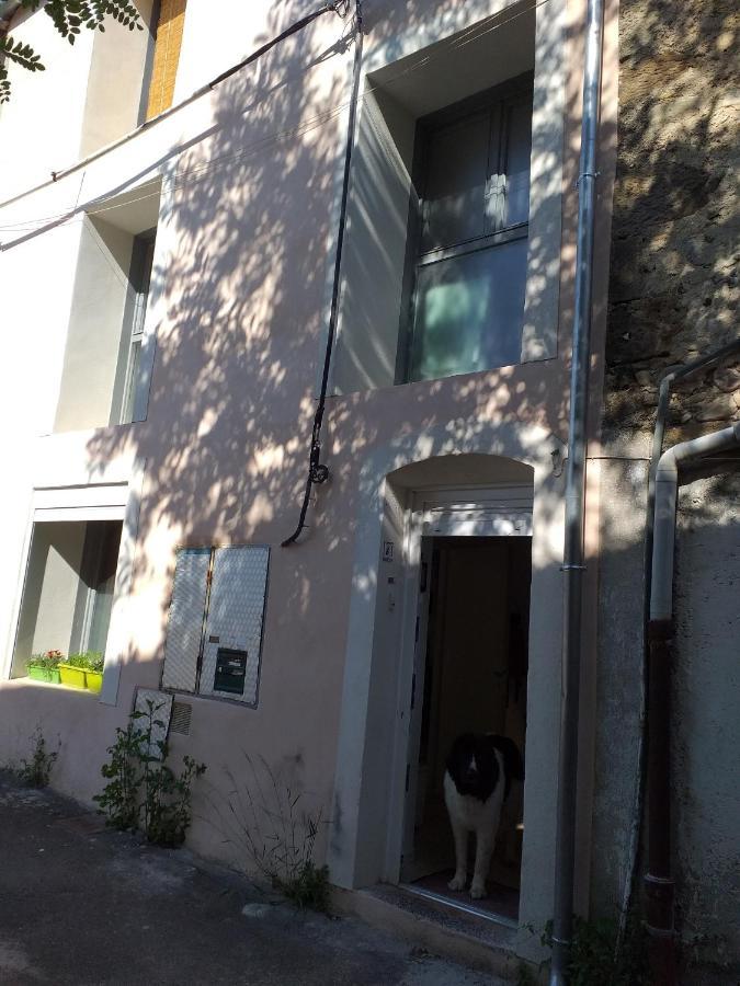 La Maison D Annick Appartement Lodève Buitenkant foto